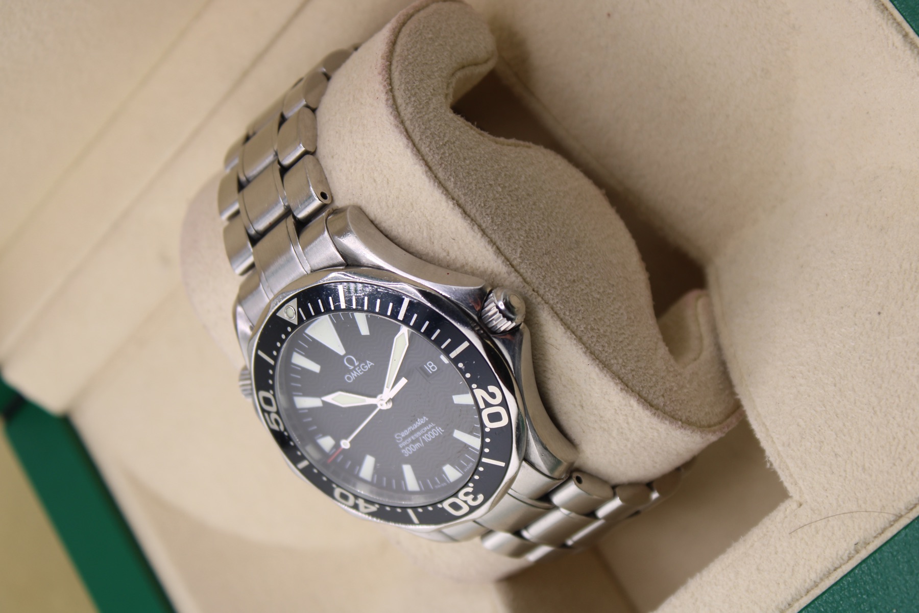 Omega Seamaster Professional Peter Blake angled case photo